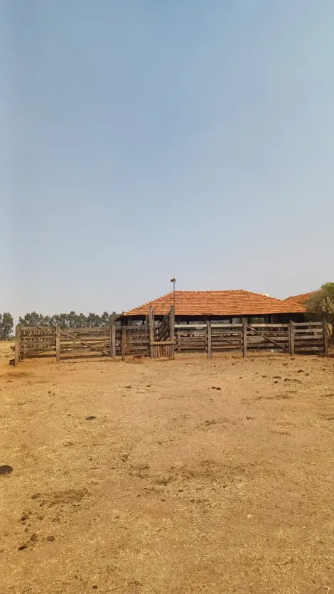 Comprar Rural / Sítio em Tanabi apenas R$ 1.380.000,00 - Foto 5