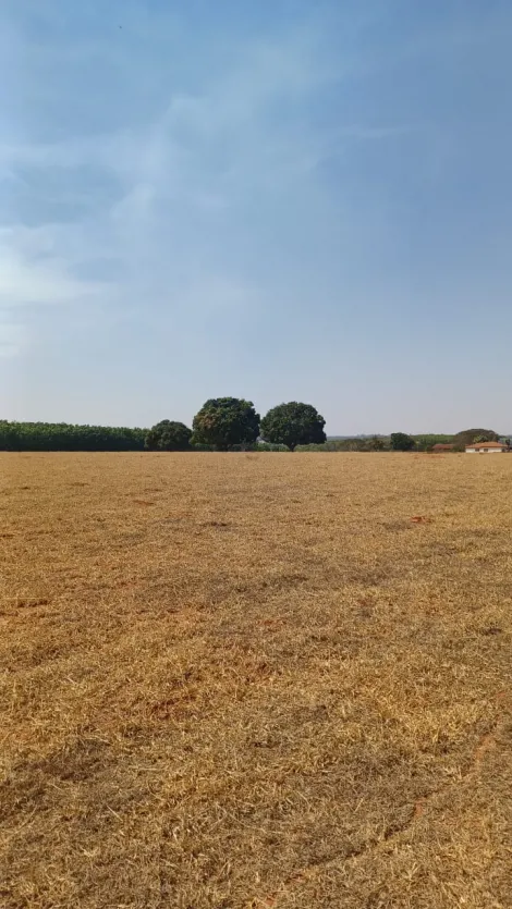 Comprar Rural / Sítio em Tanabi apenas R$ 1.380.000,00 - Foto 16