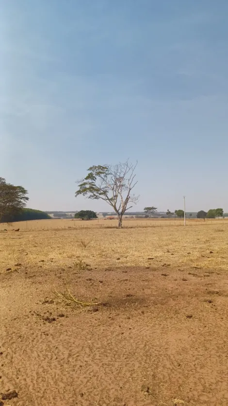 Comprar Rural / Sítio em Tanabi apenas R$ 1.380.000,00 - Foto 17