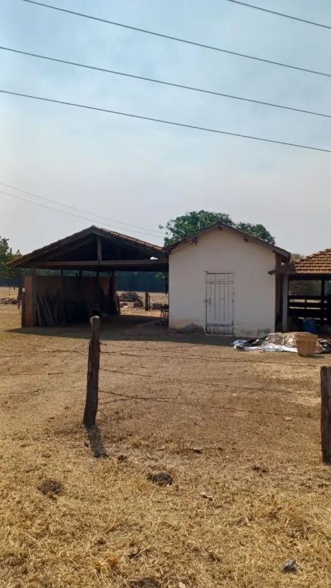 Comprar Rural / Sítio em Tanabi apenas R$ 1.380.000,00 - Foto 4