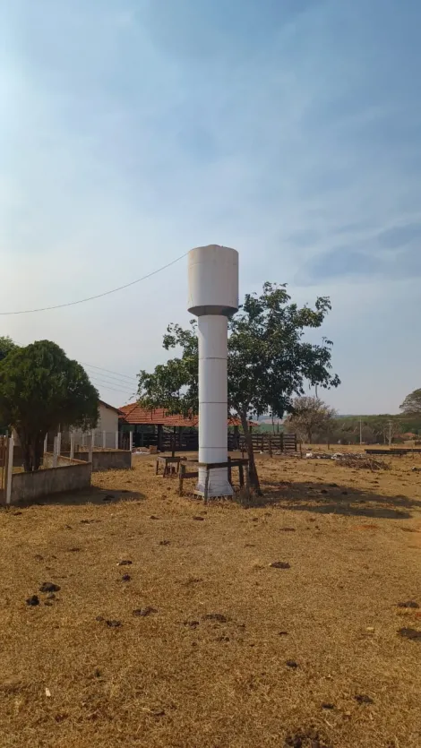 Comprar Rural / Sítio em Tanabi apenas R$ 1.380.000,00 - Foto 7