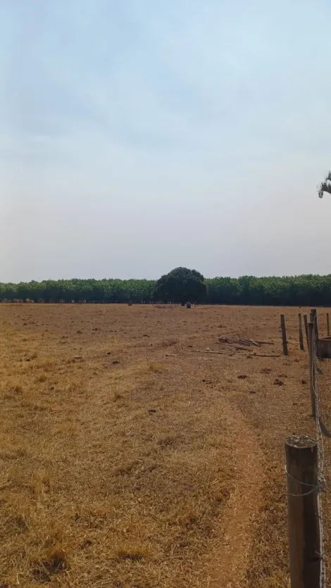 Comprar Rural / Sítio em Tanabi apenas R$ 1.380.000,00 - Foto 20