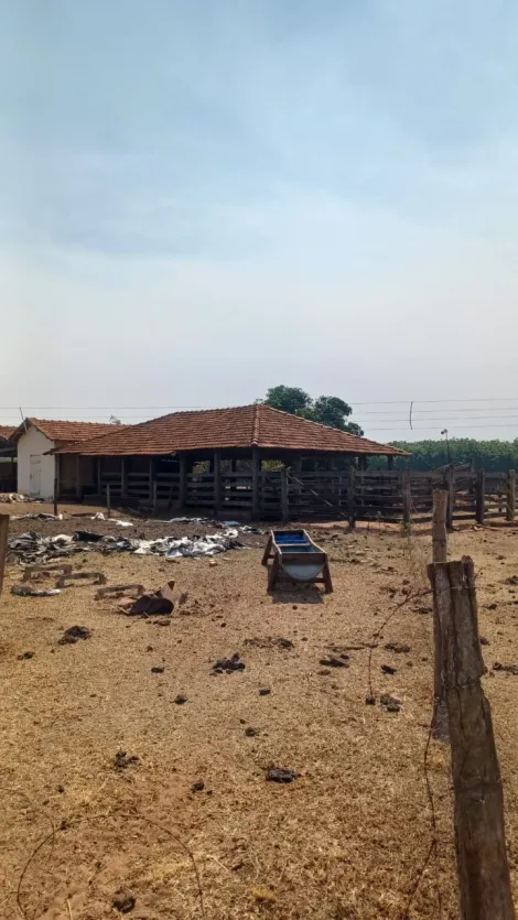 Comprar Rural / Sítio em Tanabi apenas R$ 1.380.000,00 - Foto 6