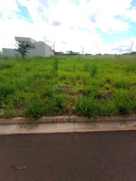 Terreno / Padrão em São José do Rio Preto 