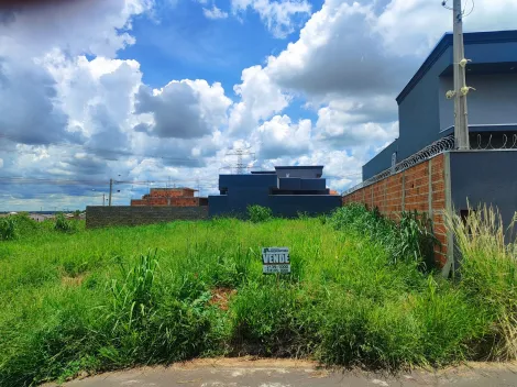 Comprar Terreno / Padrão em Bady Bassitt apenas R$ 85.000,00 - Foto 9