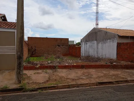 Comprar Terreno / Padrão em São José do Rio Preto apenas R$ 100.000,00 - Foto 2