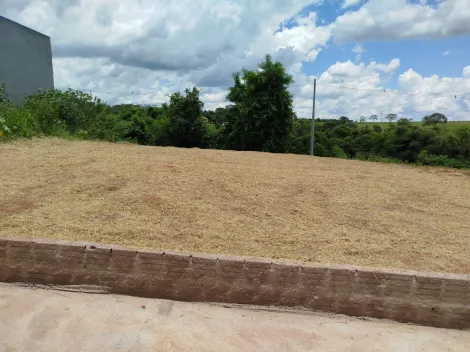 Terreno / Padrão em Mirassol 