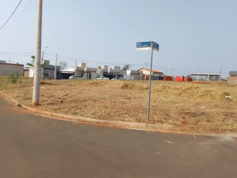 Comprar Terreno / Padrão em São José do Rio Preto apenas R$ 110.000,00 - Foto 3