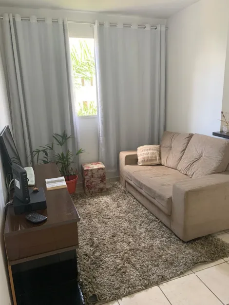 Apartamento / Padrão em São José do Rio Preto 