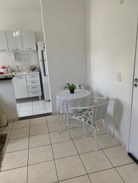 Alugar Apartamento / Padrão em São José do Rio Preto apenas R$ 950,00 - Foto 2