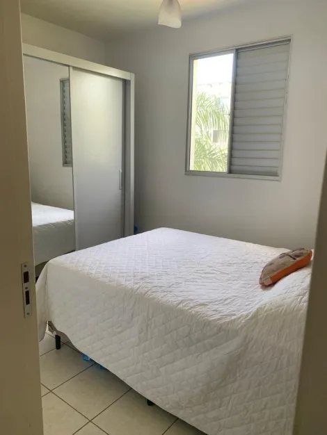 Alugar Apartamento / Padrão em São José do Rio Preto apenas R$ 950,00 - Foto 6