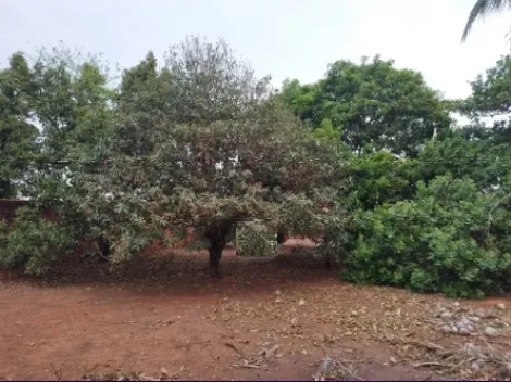 Comprar Rural / Chácara em São José do Rio Preto apenas R$ 165.000,00 - Foto 2