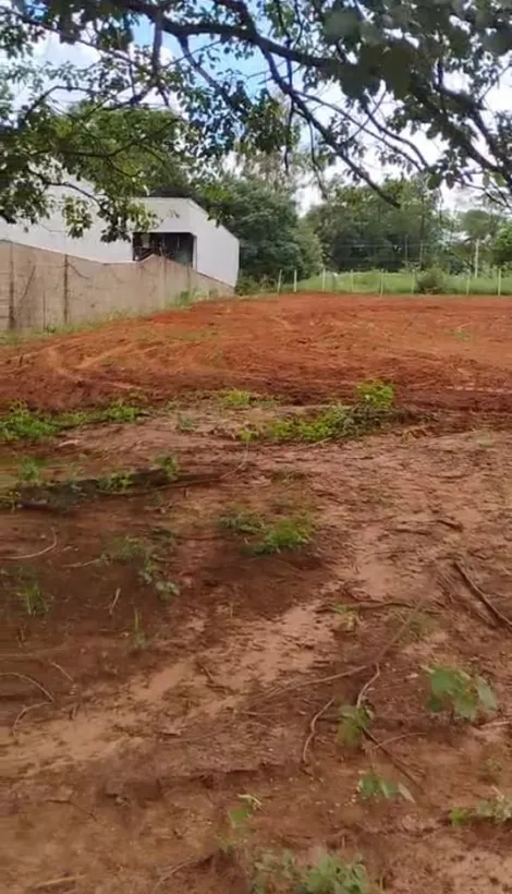 Comprar Rural / Chácara em São José do Rio Preto apenas R$ 1.300.000,00 - Foto 2