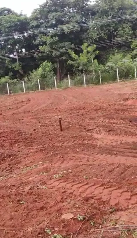 Comprar Rural / Chácara em São José do Rio Preto apenas R$ 1.300.000,00 - Foto 3