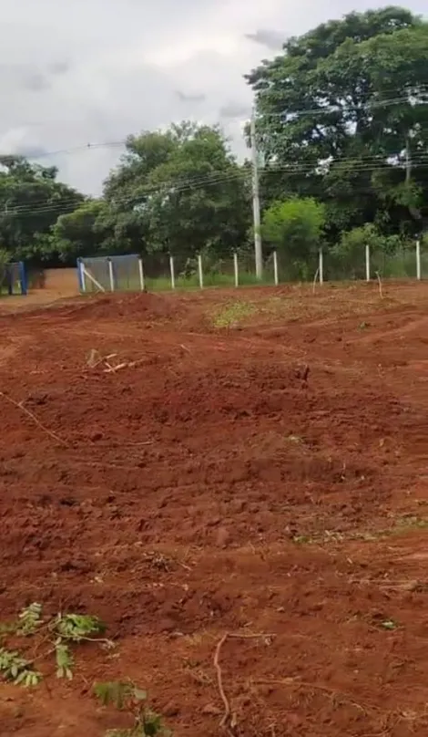 Comprar Rural / Chácara em São José do Rio Preto apenas R$ 1.300.000,00 - Foto 4