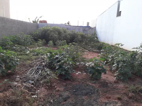 Comprar Terreno / Padrão em São José do Rio Preto apenas R$ 110.000,00 - Foto 2