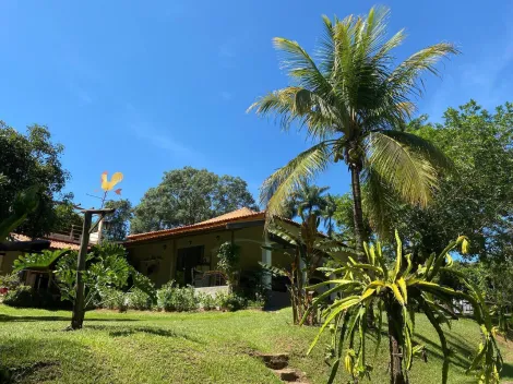 Catanduva - Jardim dos Coqueiros - Rural - Chácara - Venda