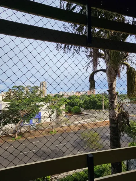 Comprar Apartamento / Padrão em São José do Rio Preto apenas R$ 650.000,00 - Foto 12