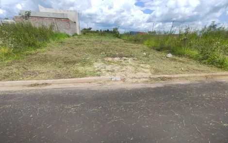 Comprar Terreno / Padrão em São José do Rio Preto apenas R$ 100.000,00 - Foto 1