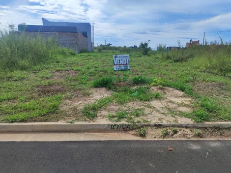 Comprar Terreno / Padrão em São José do Rio Preto apenas R$ 100.000,00 - Foto 3