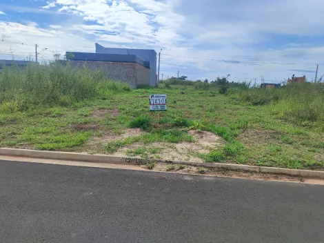 Comprar Terreno / Padrão em São José do Rio Preto apenas R$ 100.000,00 - Foto 4