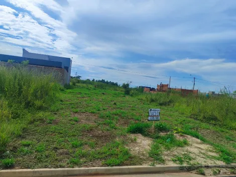 Comprar Terreno / Padrão em São José do Rio Preto apenas R$ 100.000,00 - Foto 5