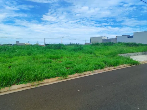 Comprar Terreno / Padrão em São José do Rio Preto apenas R$ 120.000,00 - Foto 3