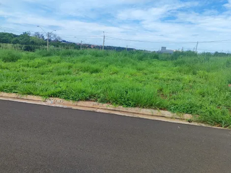 Comprar Terreno / Padrão em São José do Rio Preto apenas R$ 120.000,00 - Foto 5