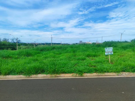 Comprar Terreno / Padrão em São José do Rio Preto apenas R$ 120.000,00 - Foto 6