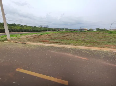 Alugar Terreno / Padrão em São José do Rio Preto. apenas R$ 120.000,00