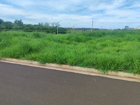 Comprar Terreno / Padrão em São José do Rio Preto apenas R$ 120.000,00 - Foto 4