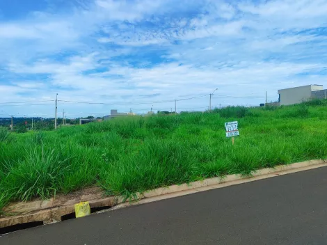 Comprar Terreno / Padrão em São José do Rio Preto apenas R$ 120.000,00 - Foto 5