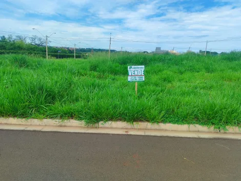 Comprar Terreno / Padrão em São José do Rio Preto apenas R$ 120.000,00 - Foto 6