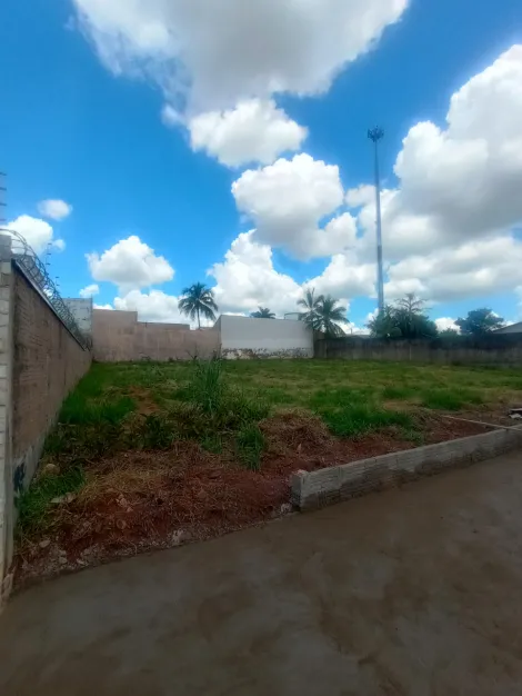 Terreno / Padrão em São José do Rio Preto 