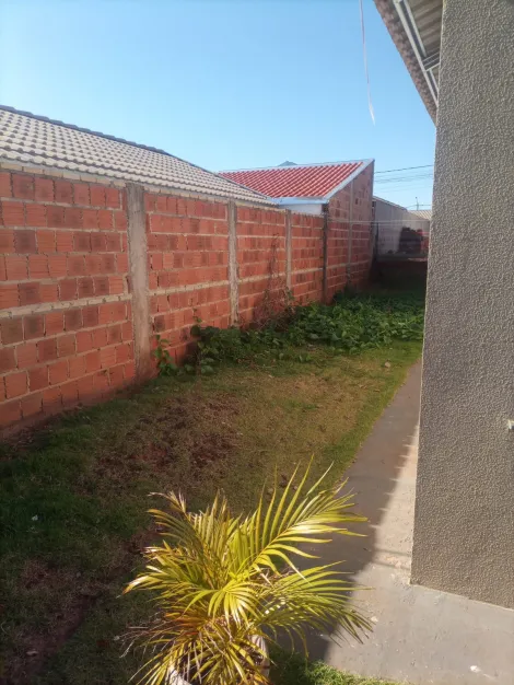 Alugar Casa / Padrão em São José do Rio Preto apenas R$ 680,00 - Foto 3