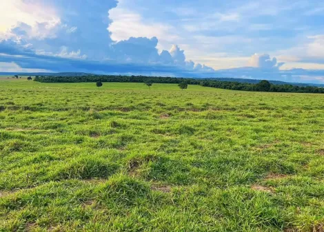 Comprar Rural / Fazenda em Itajá apenas R$ 26.000.000,00 - Foto 9