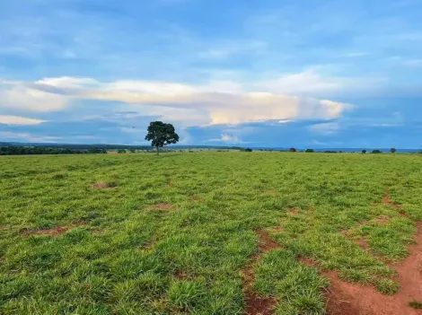 Comprar Rural / Fazenda em Itajá apenas R$ 26.000.000,00 - Foto 18