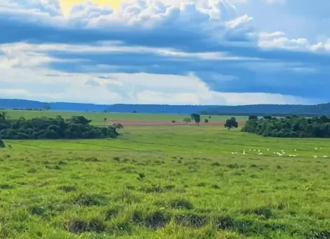 Comprar Rural / Fazenda em Itajá apenas R$ 26.000.000,00 - Foto 7