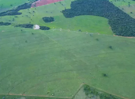 Comprar Rural / Fazenda em Itajá apenas R$ 26.000.000,00 - Foto 11