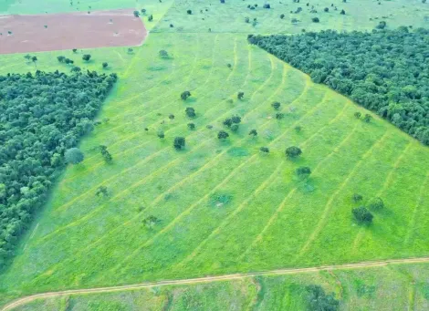 Comprar Rural / Fazenda em Itajá apenas R$ 26.000.000,00 - Foto 5