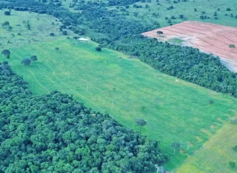 Comprar Rural / Fazenda em Itajá apenas R$ 26.000.000,00 - Foto 12