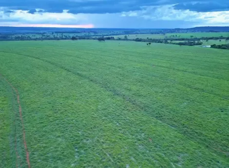 Comprar Rural / Fazenda em Itajá apenas R$ 26.000.000,00 - Foto 4