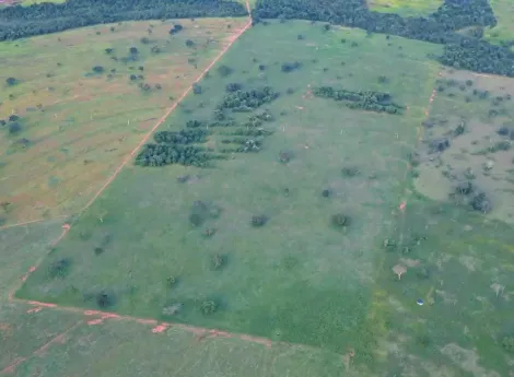 Comprar Rural / Fazenda em Itajá apenas R$ 26.000.000,00 - Foto 14