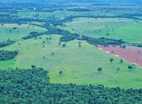 Comprar Rural / Fazenda em Itajá apenas R$ 26.000.000,00 - Foto 15