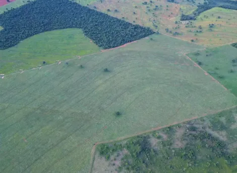 Comprar Rural / Fazenda em Itajá apenas R$ 26.000.000,00 - Foto 16