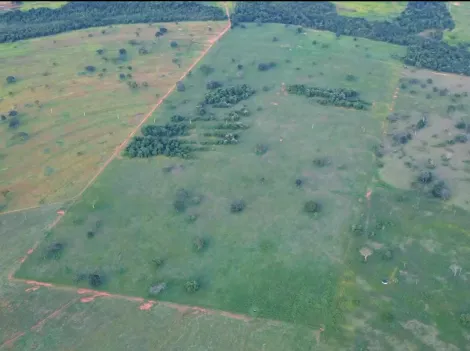 Comprar Rural / Fazenda em Itajá apenas R$ 26.000.000,00 - Foto 19