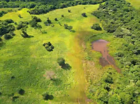 Comprar Rural / Fazenda em Itajá apenas R$ 26.000.000,00 - Foto 20