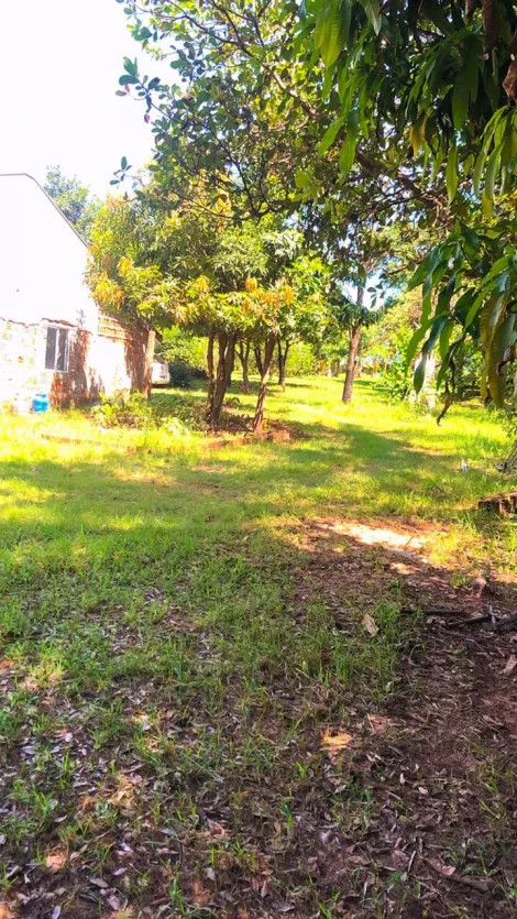 Rural / Chácara em São José do Rio Preto 