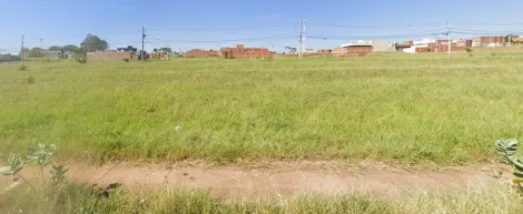 Terreno / Padrão em São José do Rio Preto 