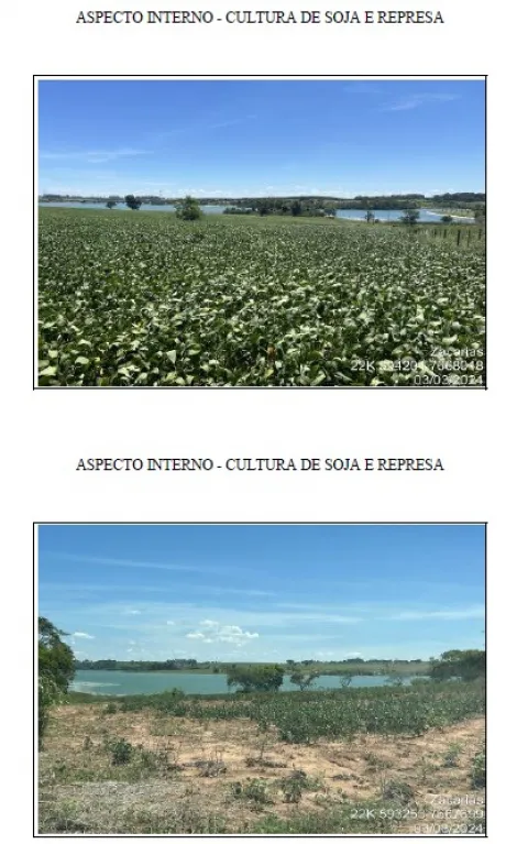 Comprar Rural / Fazenda em Zacarias apenas R$ 20.350.000,00 - Foto 5